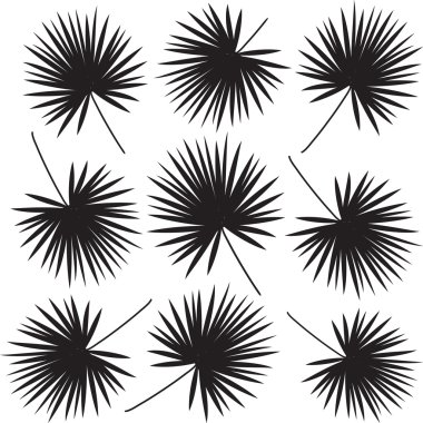 Yaprak palmiye ağaç baskı desen. Hurma izole üzerinde beyaz arka plan bırakır. Yazdırın. Tropikal hurma dalları ile arka plan. Vektör çizim. Elle çizilmiş. Sanat, baskı, karalama defteri, Web tasarımı için.