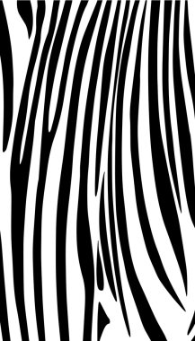 Zebra background, pattern