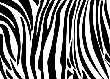 Zebra background, pattern