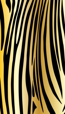 Zebra background, pattern