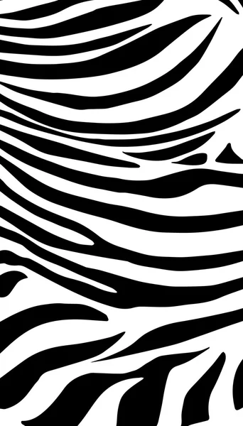 Zebra background, pattern — ストックベクタ