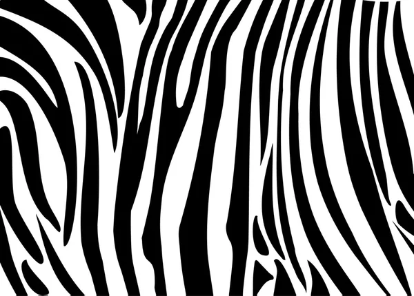 Zebra background, pattern — Stock Vector