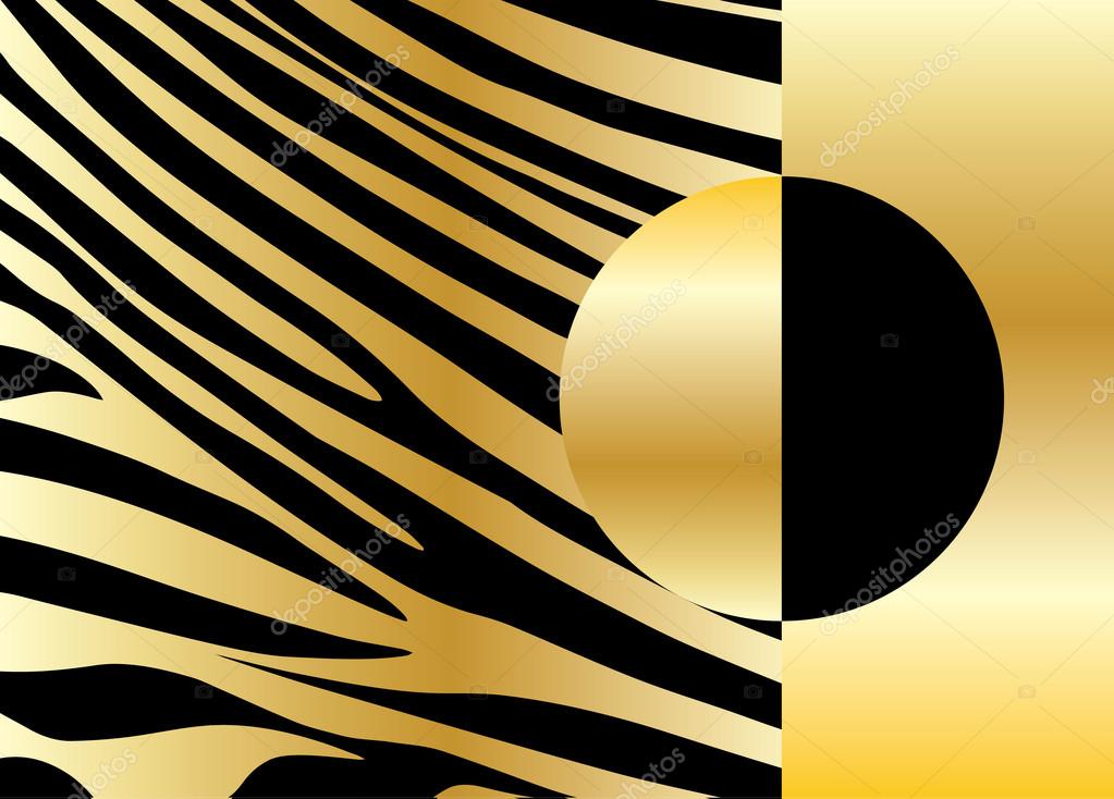Zebra background. Gold card texture. Gold frame. Stripes vector