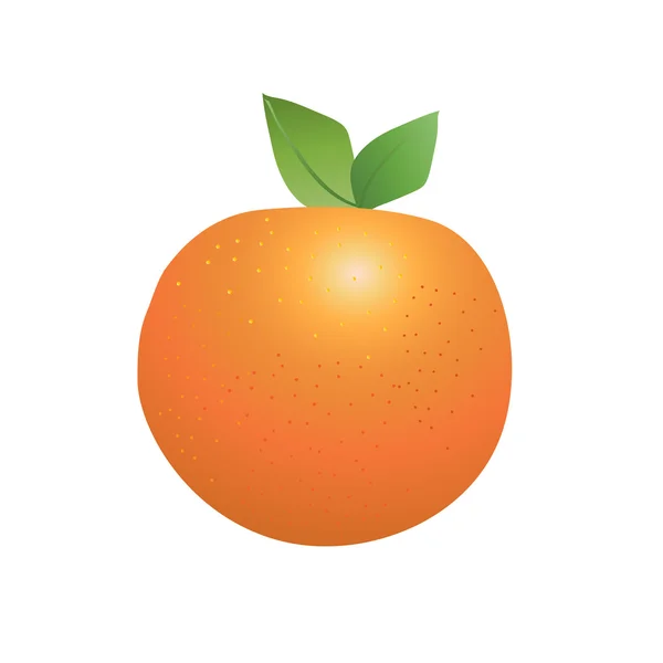 Laranja madura isolada sobre fundo branco. ilustração vetorial tangerina, mandarina, mandarina. Desenho à mão. Ícone mandarim, logotipo, símbolo, símbolo de Ano Novo Chinês . — Vetor de Stock