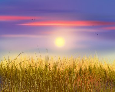 Wheat field sunset. Sky and sun, wheat field. Sun rays on horizon in rural meadow. Digital painting, illustration. Wallpaper clipart