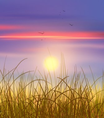 Buğday alan günbatımı. Gökyüzü ve güneş, buğday alan. Kırsal çayırda ufukta güneş ışınları. Dijital resim, illüstrasyon. Duvar kağıdı