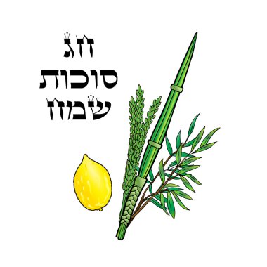 Happy Sukkot background. Hebrew translate: Happy Sukkot Holiday. Jewish traditional four species for Jewish Holiday Sukkot. Vector illustration. clipart