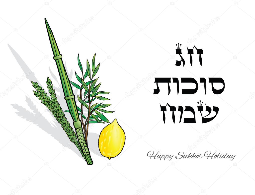 Happy Sukkot background. Hebrew translate: Happy Sukkot Holiday. Jewish traditional four species for Jewish Holiday Sukkot. Vector illustration.