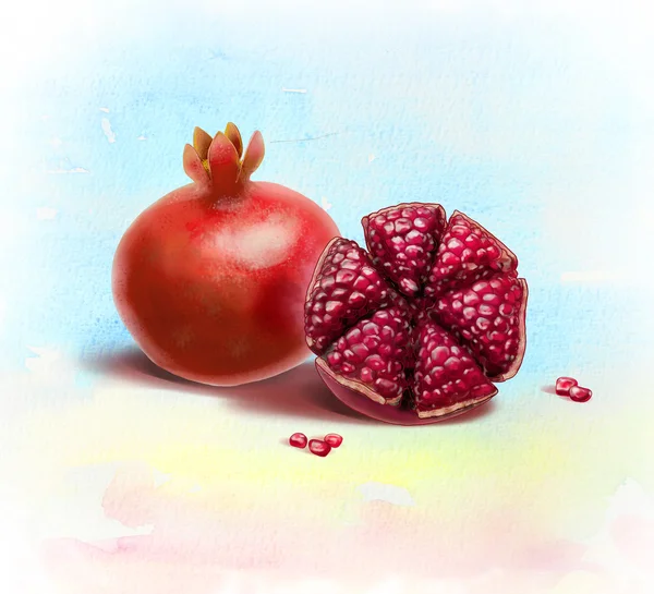 Granatäpplen på vit bakgrund. Akvarell Illustration — Stockfoto