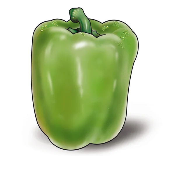 Pimenta verde isolada sobre um fundo branco. Ilustração digital — Fotografia de Stock