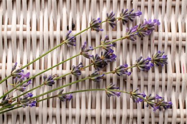 Kokulu lavanta çiçekleri üst görünüm, makro.