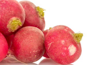 Beyaz arka planda taze turp izole edildi. makro.