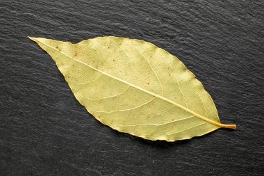 Slate stone, makro üzerinde kuru defne yaprağı, üst görünüm.