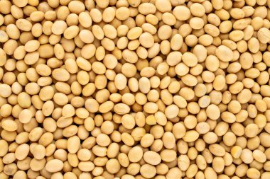 Çiğ soya fasulyesi, makro, üst manzara..