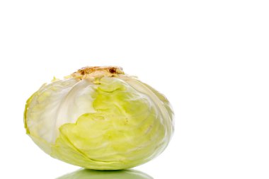 Beyaz arka planda izole edilmiş taze beyaz lahana, makro.