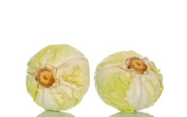 Beyaz arka planda izole edilmiş taze beyaz lahana, makro.