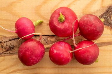 Taze kırmızı turp, makro, üst manzara..