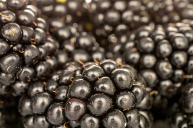 Tatlı olgun böğürtlen, makro.