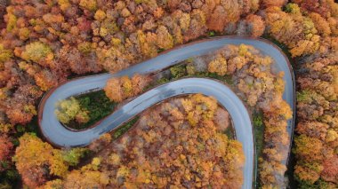 Pelion Dağı 'nda sonbahar, yol kayın ormanı, hava manzarası, Magnesia, Teselya, Yunanistan