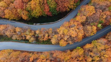 Pelion Dağı 'nda sonbahar, yol kayın ormanı, hava manzarası, Magnesia, Teselya, Yunanistan