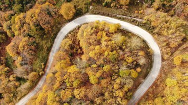 Pelion Dağı 'nda sonbahar, yol kayın ormanı, hava manzarası, Magnesia, Teselya, Yunanistan
