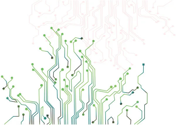 Fond abstrait de carte racine de circuit numérique sur blanc, thème de la technologie — Image vectorielle