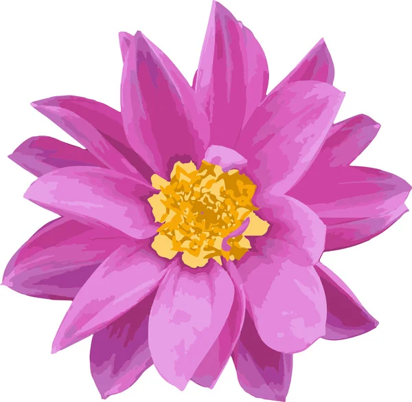 Hafif pembe Plower (fiore fucsia 02)