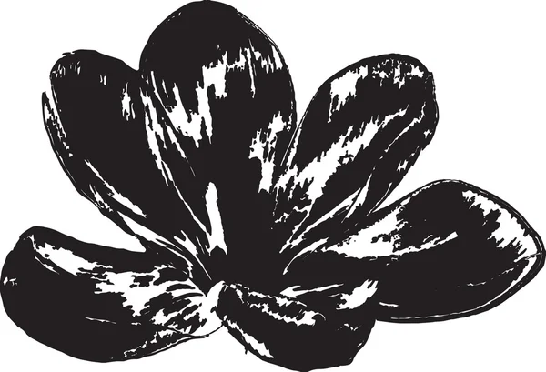 Siyah ve beyaz (fiore nero 01)