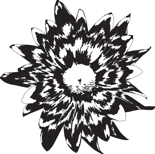 BW çiçek (fiore nero 02)