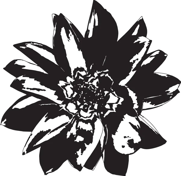 BW çiçek (fiore nero 04)