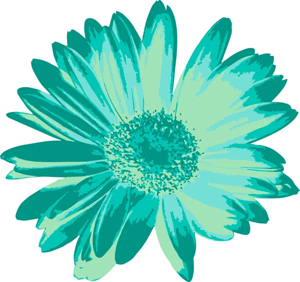 Margherita verde acqua