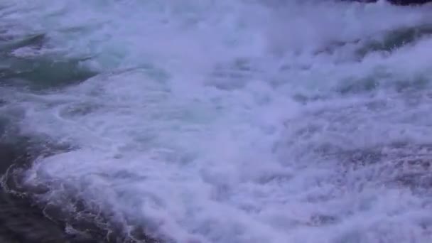 Salmón saltando río arriba durante la carrera de salmón — Vídeos de Stock