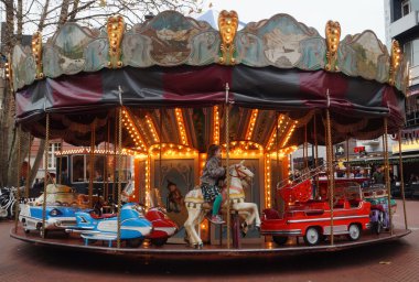 Hollanda'da atlı karınca