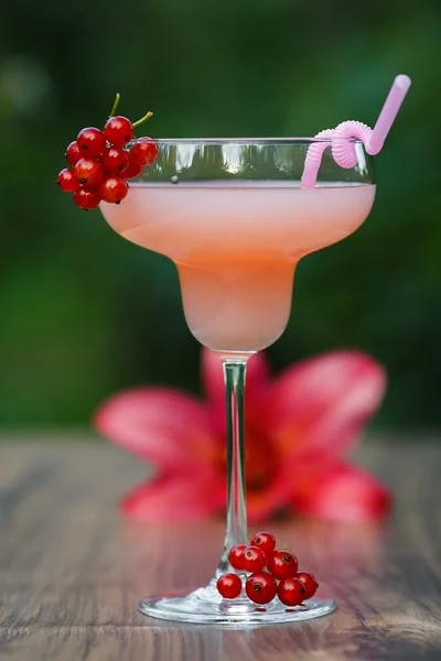 Shaped glass with pink grapefruit cocktail on green background bokeh — Stock Photo, Image