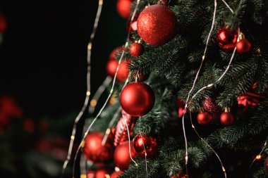 Kırmızı toplar yeşil arka plandaki bir Noel ağacını süslüyor. Seçici odak.