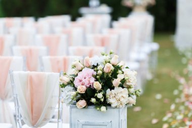 Şeffaf plastik sandalyeler