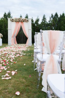 Şeffaf plastik sandalyeler