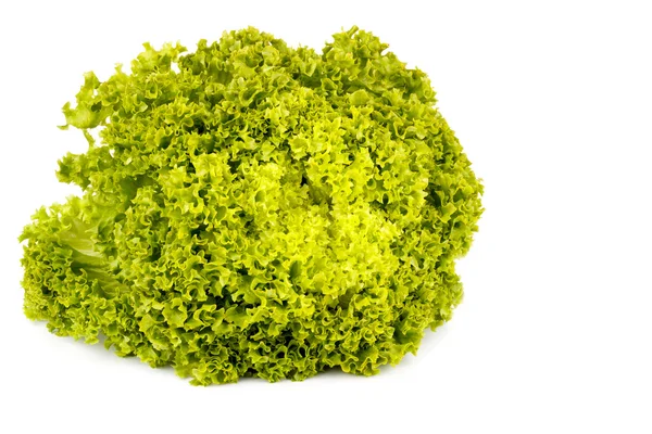 Salade verte isolée — Photo