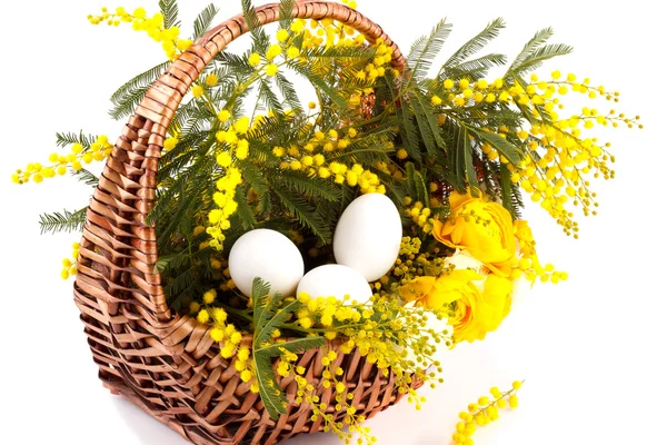 Kosár, mimóza és a tojás — Stock Fotó