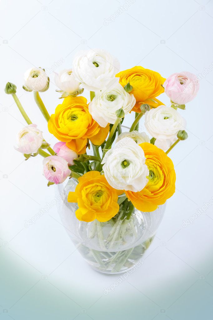 Bouquet De Fleurs Jaunes Et Blanches Photographie Lanam