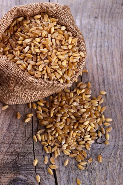 Пшеница в мешочке — стоковое фото