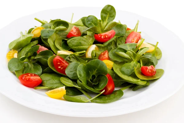 Verse spinazie, kersen tomatensalade — Stockfoto