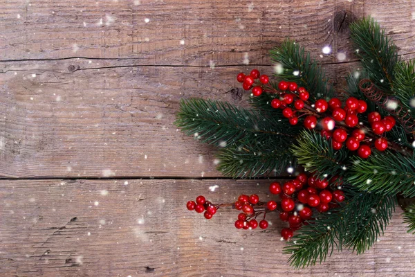 Pine tak met Kerstmis bessen — Stockfoto