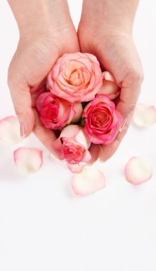 kadının elinde pembe güller