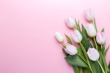 Pembe zemin üzerinde laleler kopyalama alanı ile yatıyordu