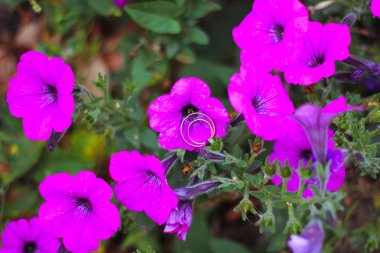 Alyans zemin çiçek