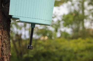 Eski banyoya kampında bir ağaç üzerinde asılı