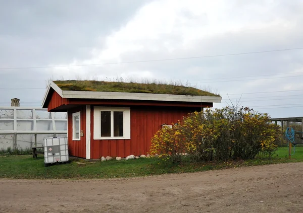 Yanında belgili tanımlık yol onun çatı üzerinde çim ile kırmızı ev