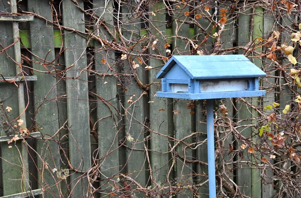 Mavi ev şeklinde kuş Besleyici