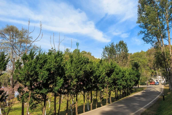 Ang Khang Station, een beroemde tuin in Chiang Mai — Stockfoto